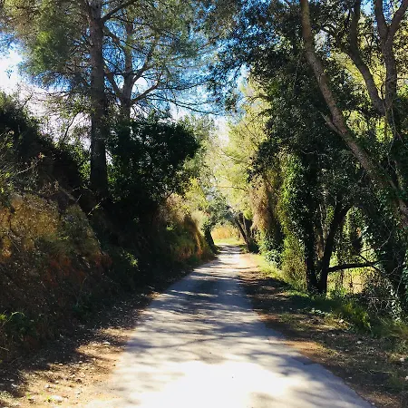 Cal Calaf Holiday home